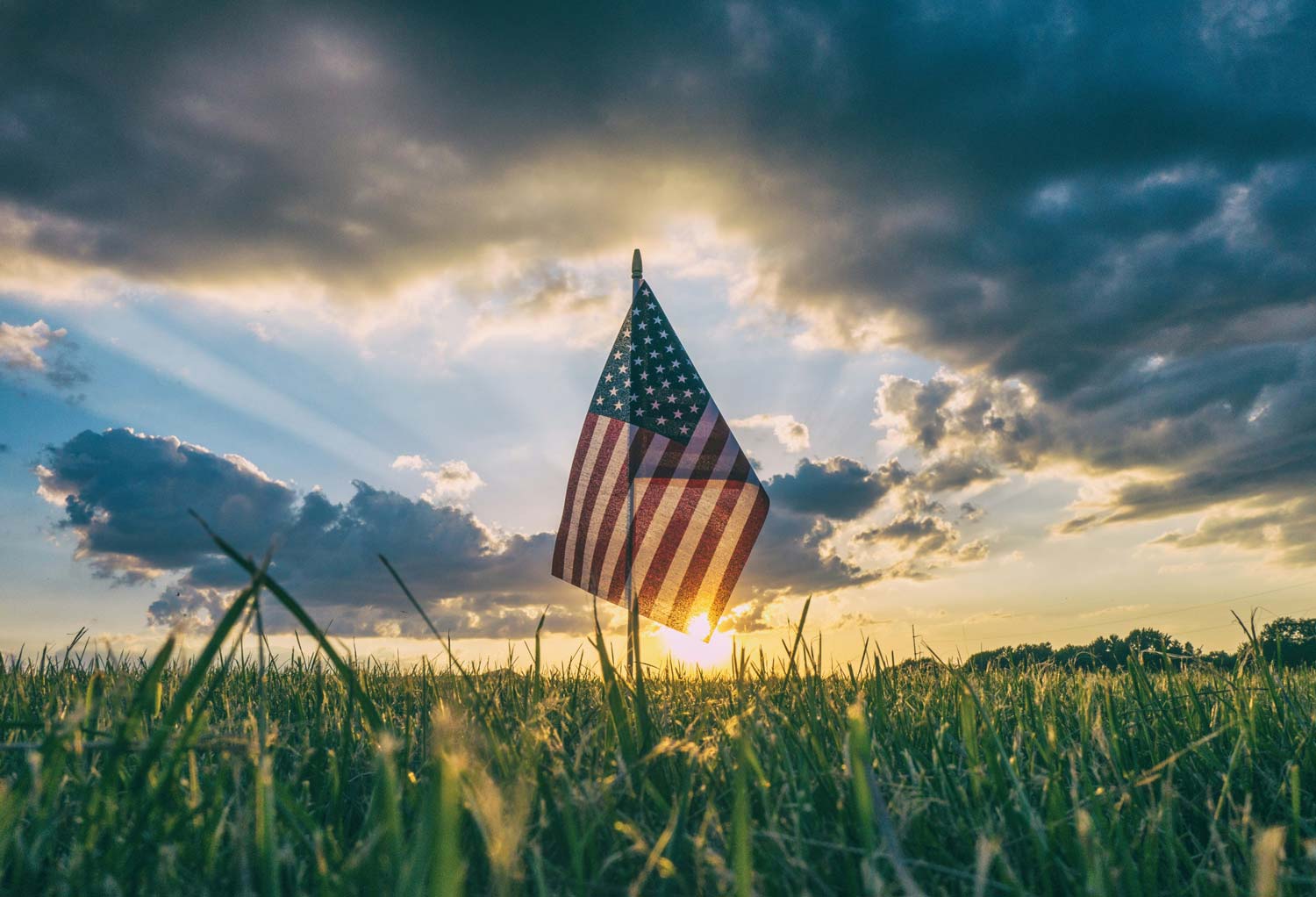 us flag in green grass