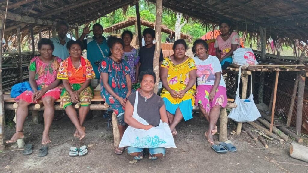 Manus translation team.